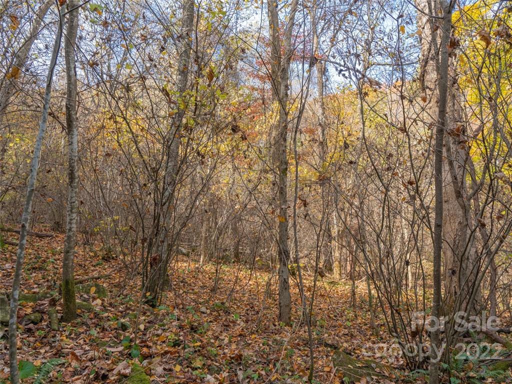 Acreage at 000 Drake Cove Road, Mars Hill, photo 19 of 33