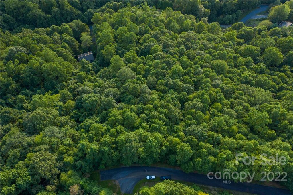 Lot at 1161 Standing Deer Trace, Arden, photo 2 of 29