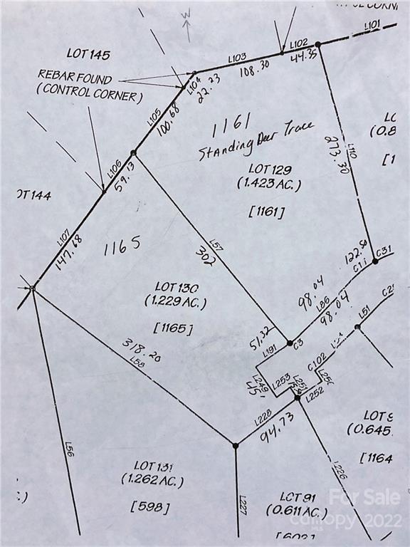 2 lots combined into one! - 1161 Standing Deer Trace, Arden