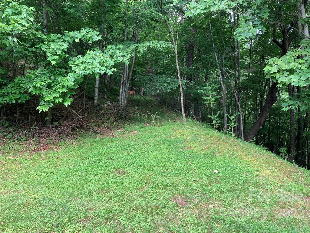 great private building site - 1161 Standing Deer Trace, Arden