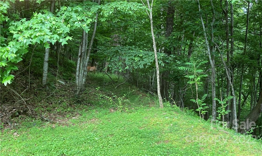 great private building site - 1161 Standing Deer Trace, Arden