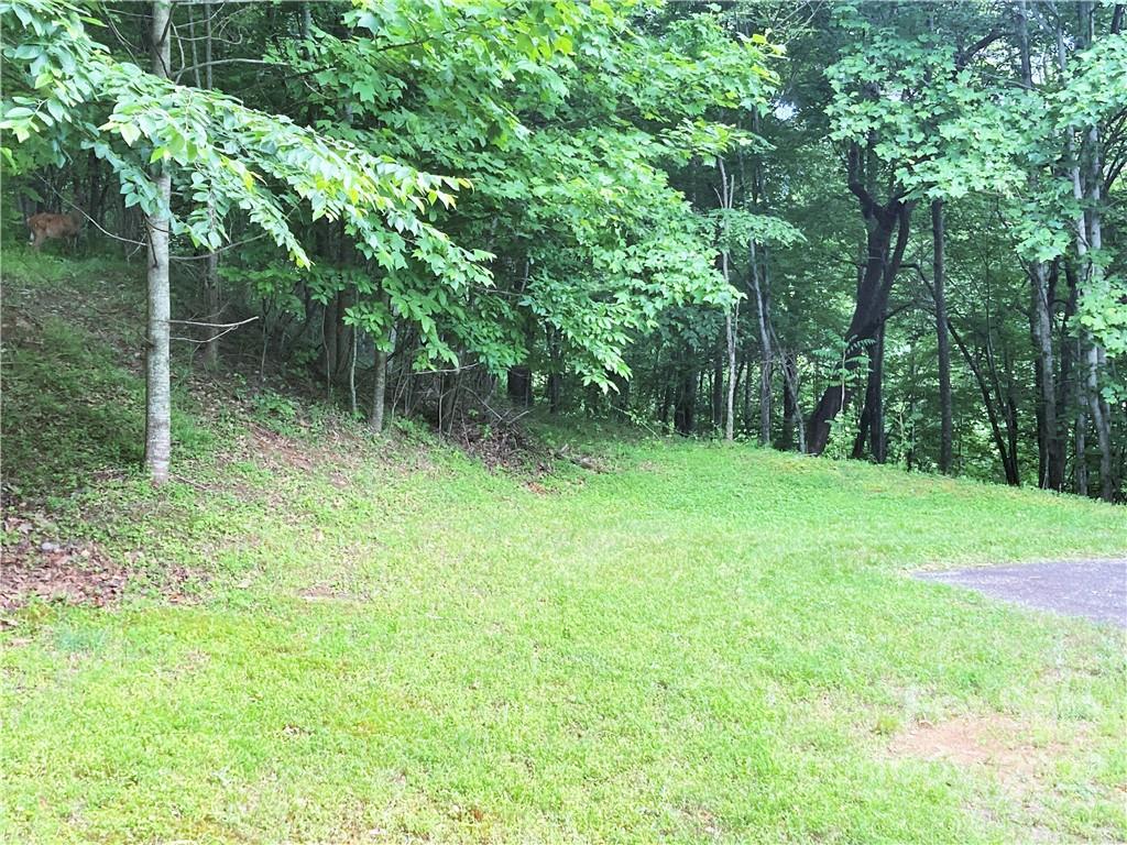 Lot at 1161 Standing Deer Trace, Arden, photo 6 of 29