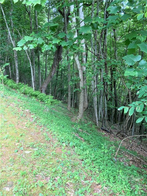 Lot at 1161 Standing Deer Trace, Arden, photo 7 of 29