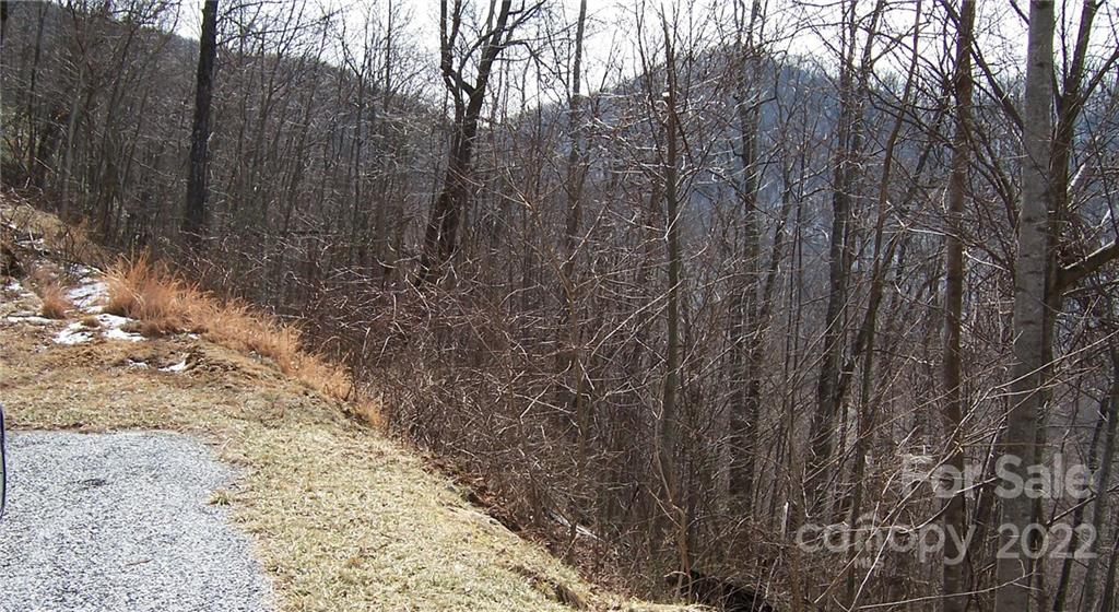 winter Mountain view. top some trees for year round view - 1161 Standing Deer Trace, Arden