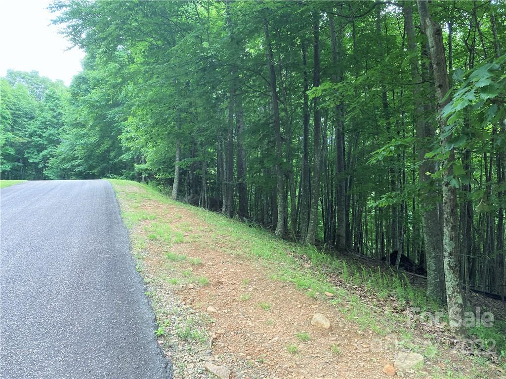 Lot at 1161 Standing Deer Trace, Arden, photo 9 of 29