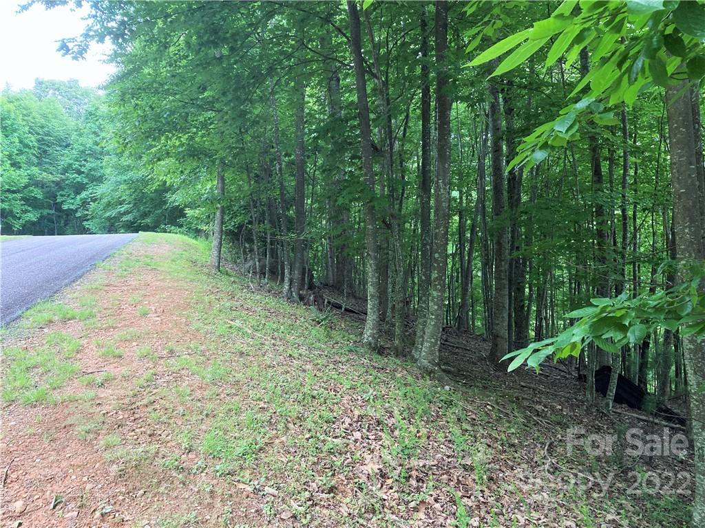 Lot at 1161 Standing Deer Trace, Arden, photo 10 of 29