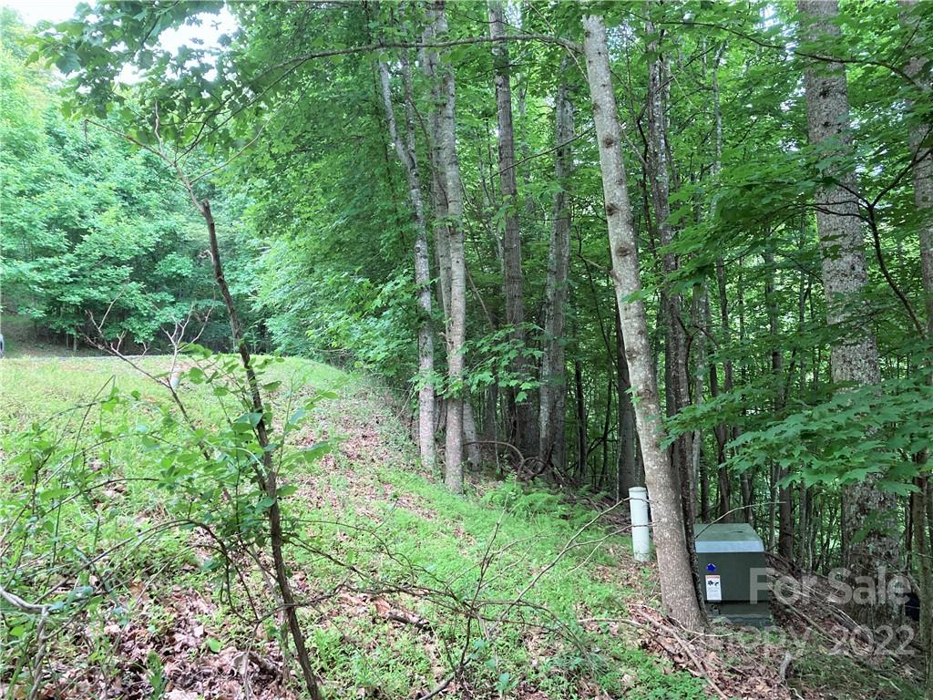 Lot at 1161 Standing Deer Trace, Arden, photo 11 of 29