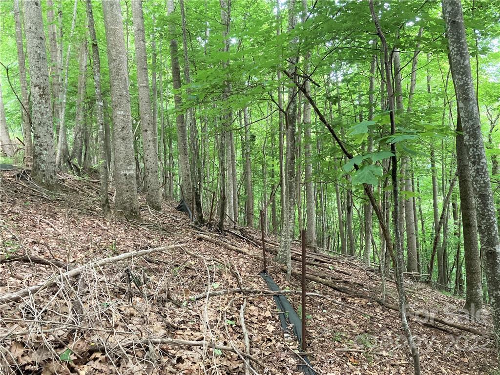 Lot at 1161 Standing Deer Trace, Arden, photo 12 of 29