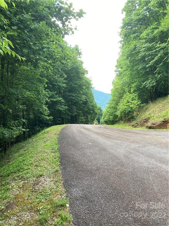 Lot at 1161 Standing Deer Trace, Arden, photo 14 of 29