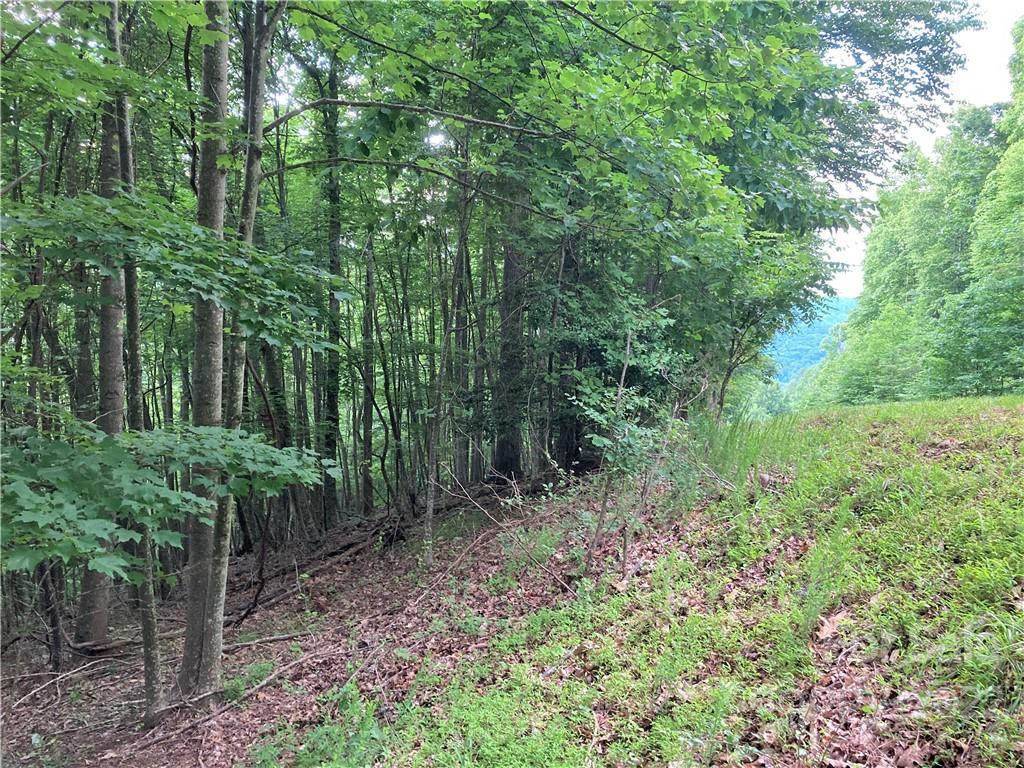 Lot at 1161 Standing Deer Trace, Arden, photo 15 of 29