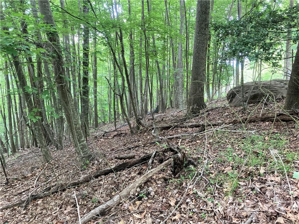 Lot at 1161 Standing Deer Trace, Arden, photo 16 of 29