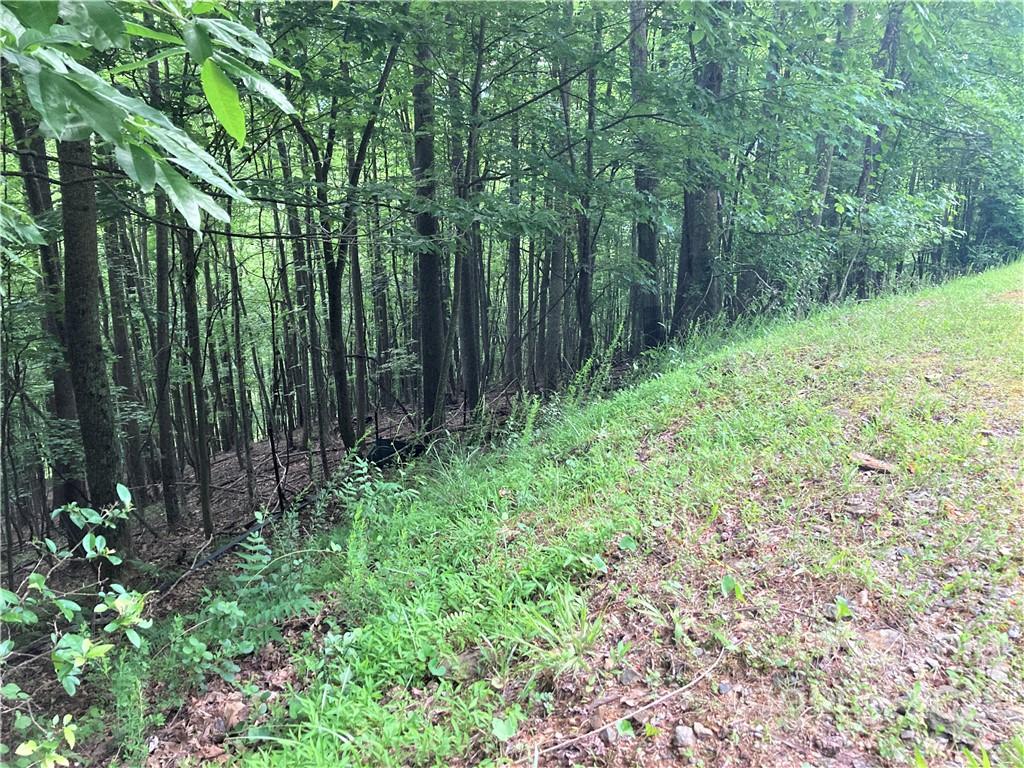 Lot at 1161 Standing Deer Trace, Arden, photo 17 of 29