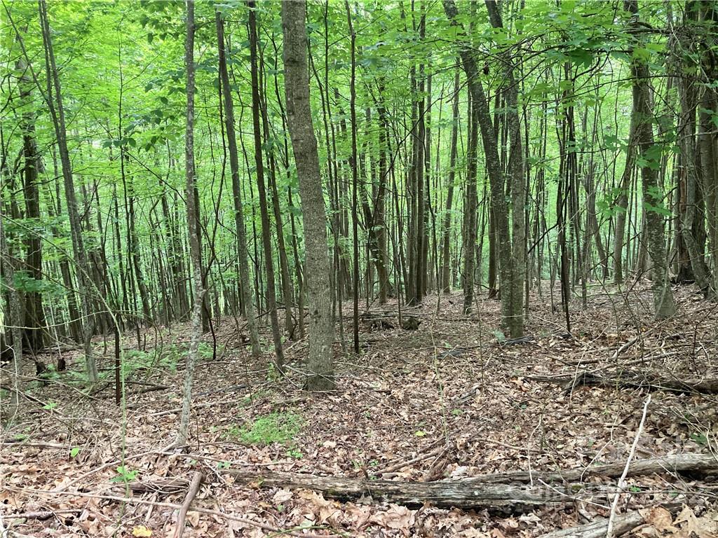 Lot at 1161 Standing Deer Trace, Arden, photo 18 of 29