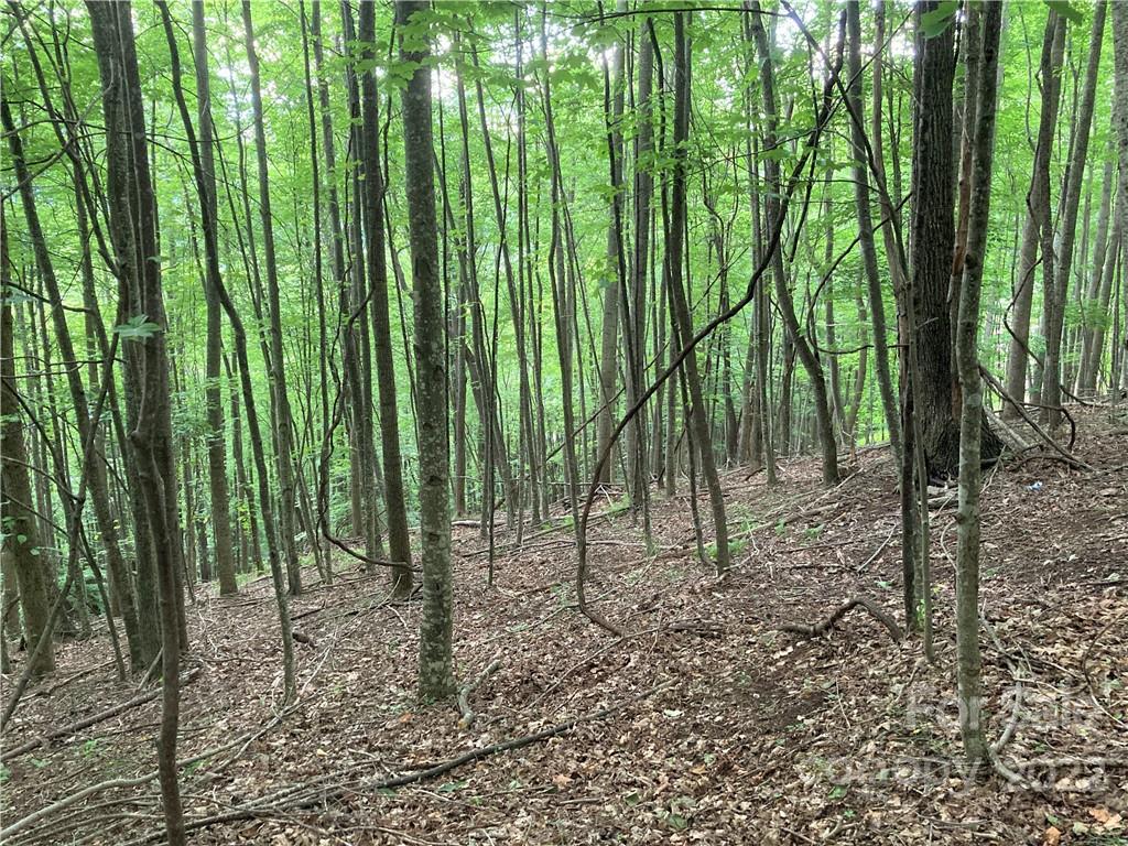 Lot at 1161 Standing Deer Trace, Arden, photo 19 of 29