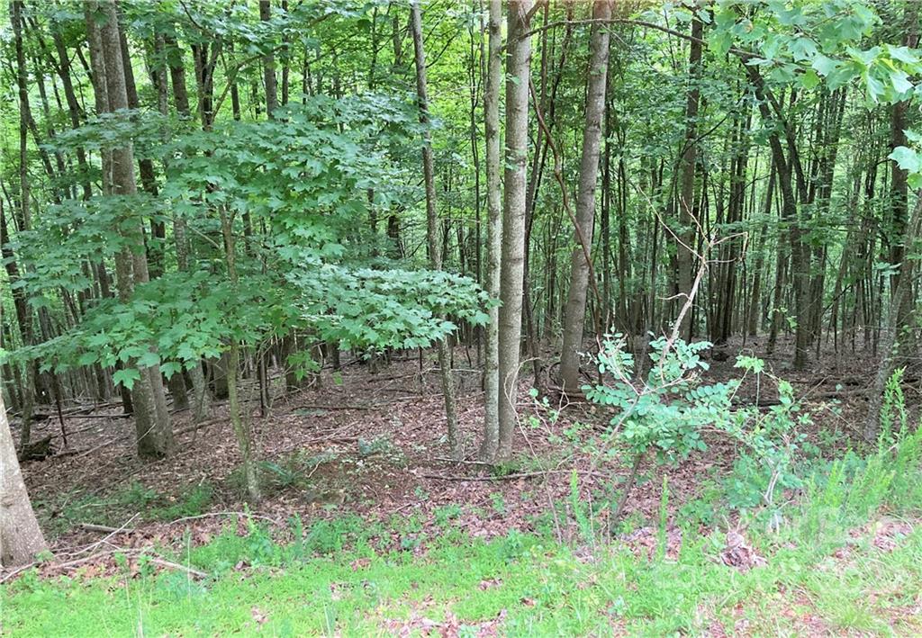 Lot at 1161 Standing Deer Trace, Arden, photo 20 of 29
