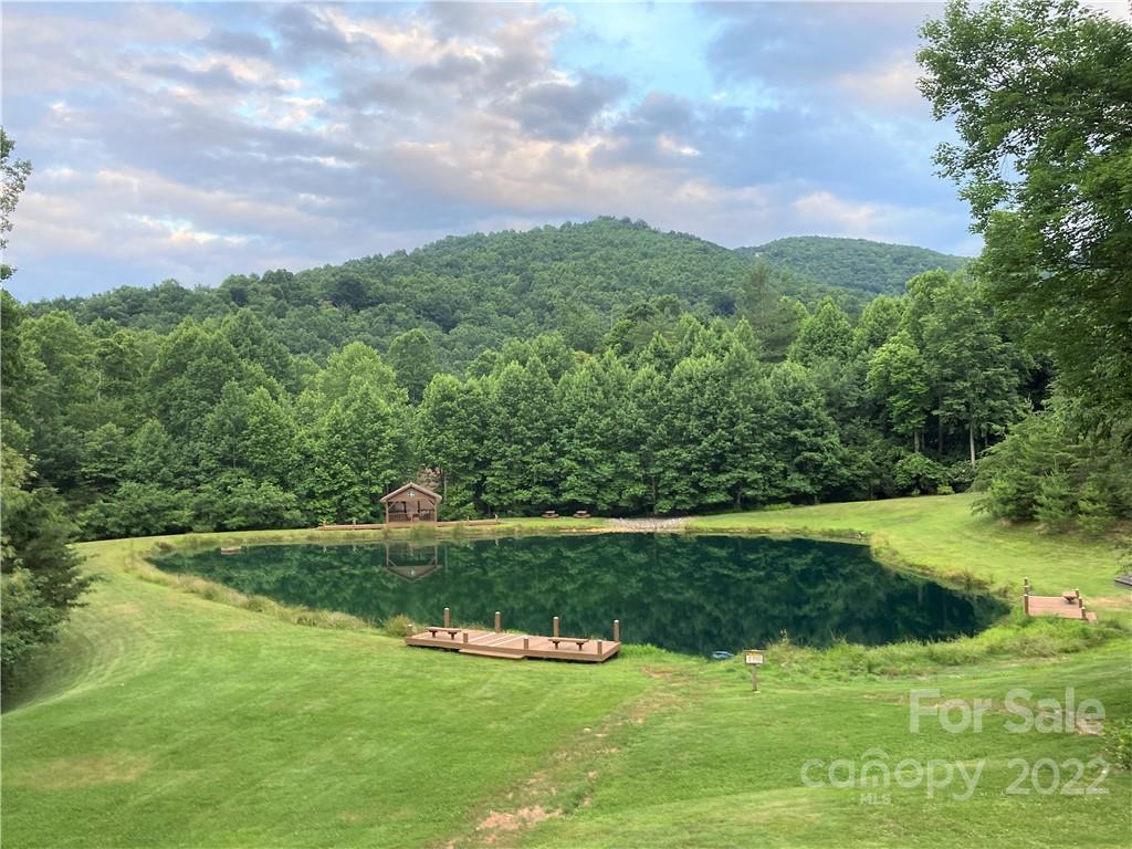Fish Pond - 1161 Standing Deer Trace, Arden