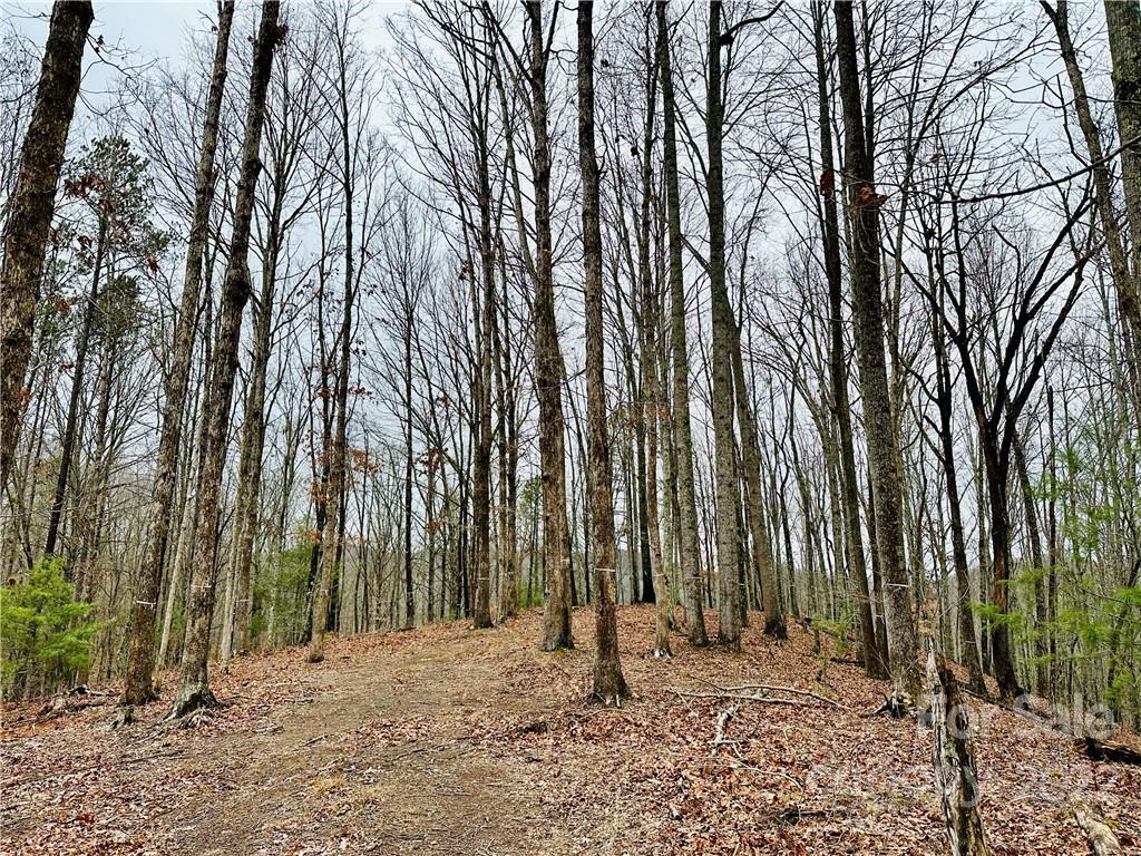 With a bit of limbing and minor clearing, this location will have a beautiful sunset view! - 921 Wild River Run, Marshall