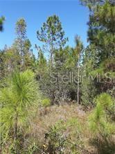 Land at SALYERS RD, CLERMONT