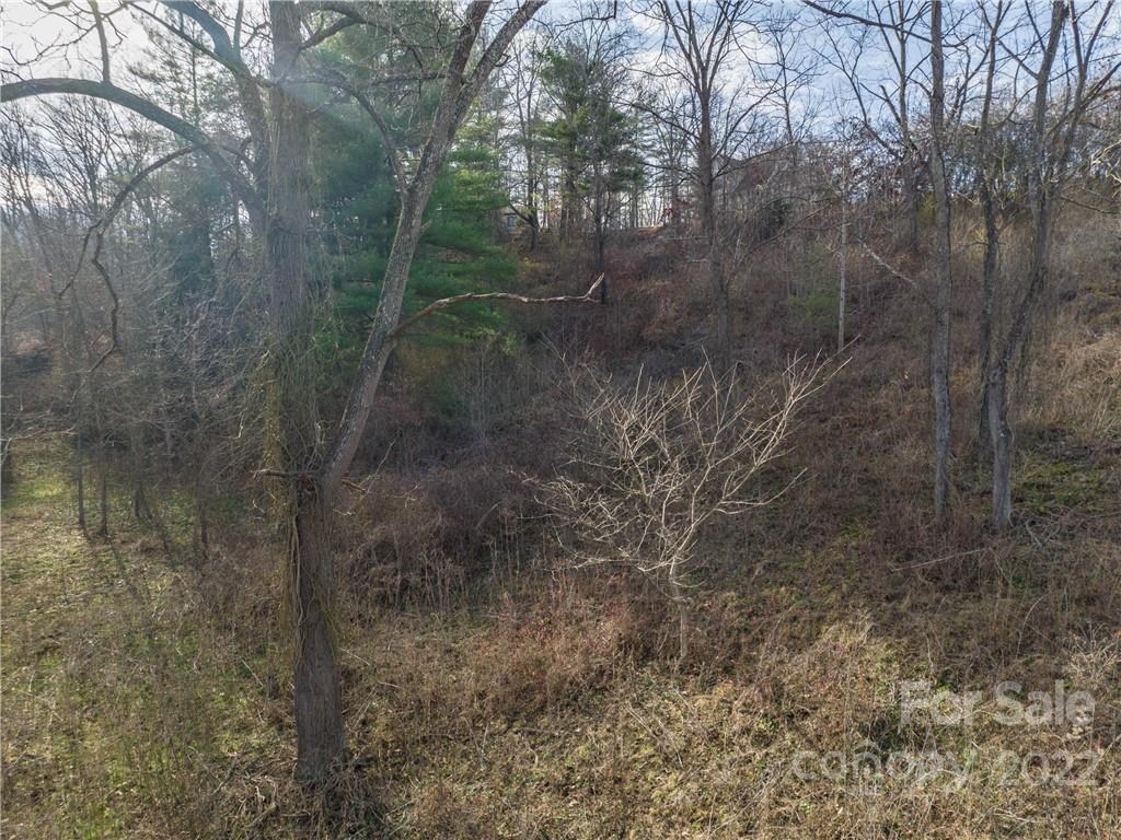Lot at 0 Midway Crossing Drive, Clyde, photo 12 of 17