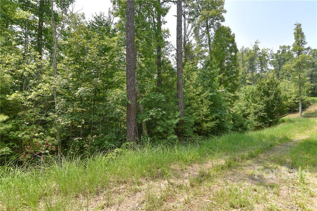 Lot at Lot 2 The Vines Boulevard, Marshall, photo 4 of 11
