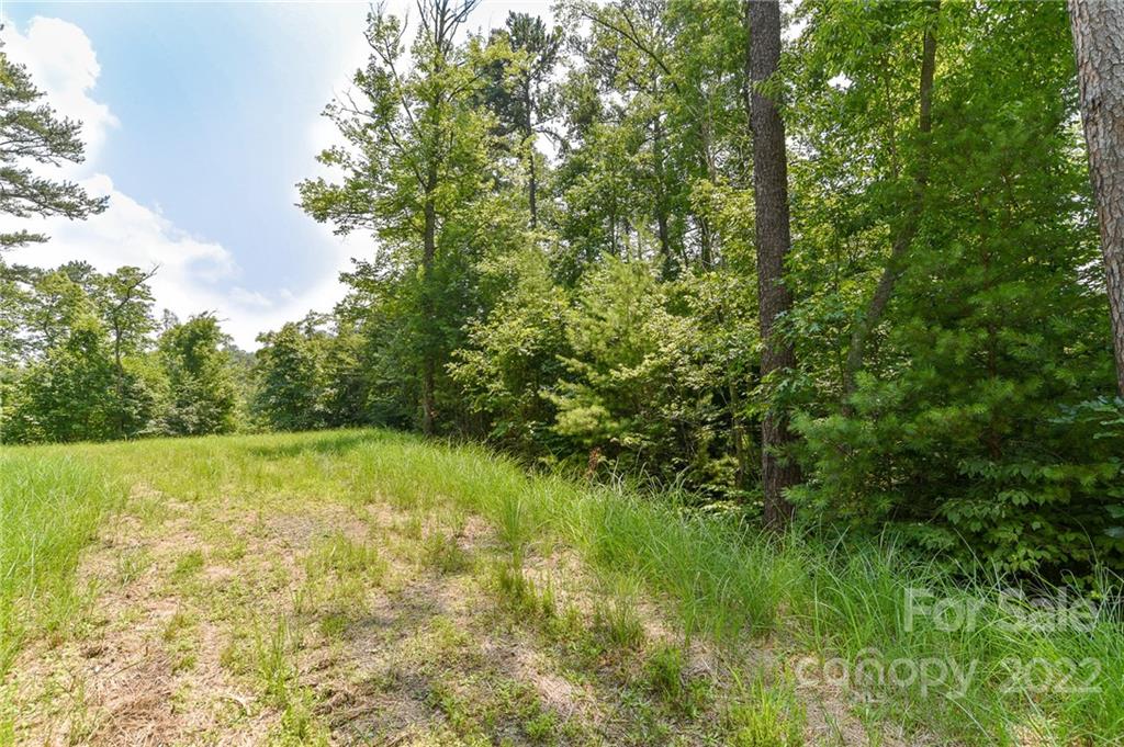 Lot at Lot 4 The Vines Boulevard, Marshall, photo 2 of 13