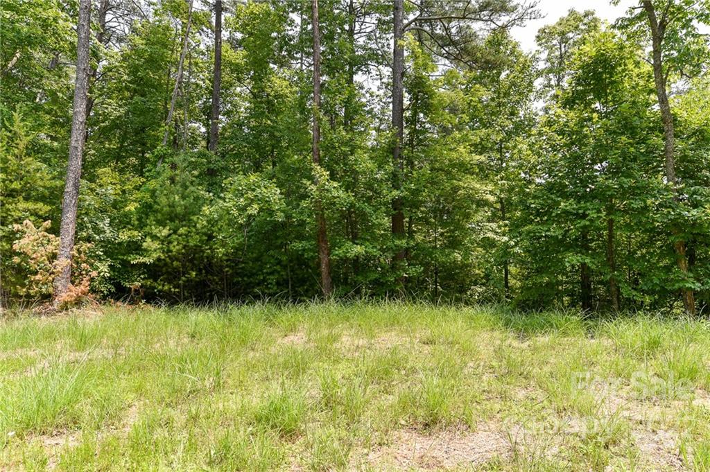 Lot at Lot 4 The Vines Boulevard, Marshall, photo 3 of 13