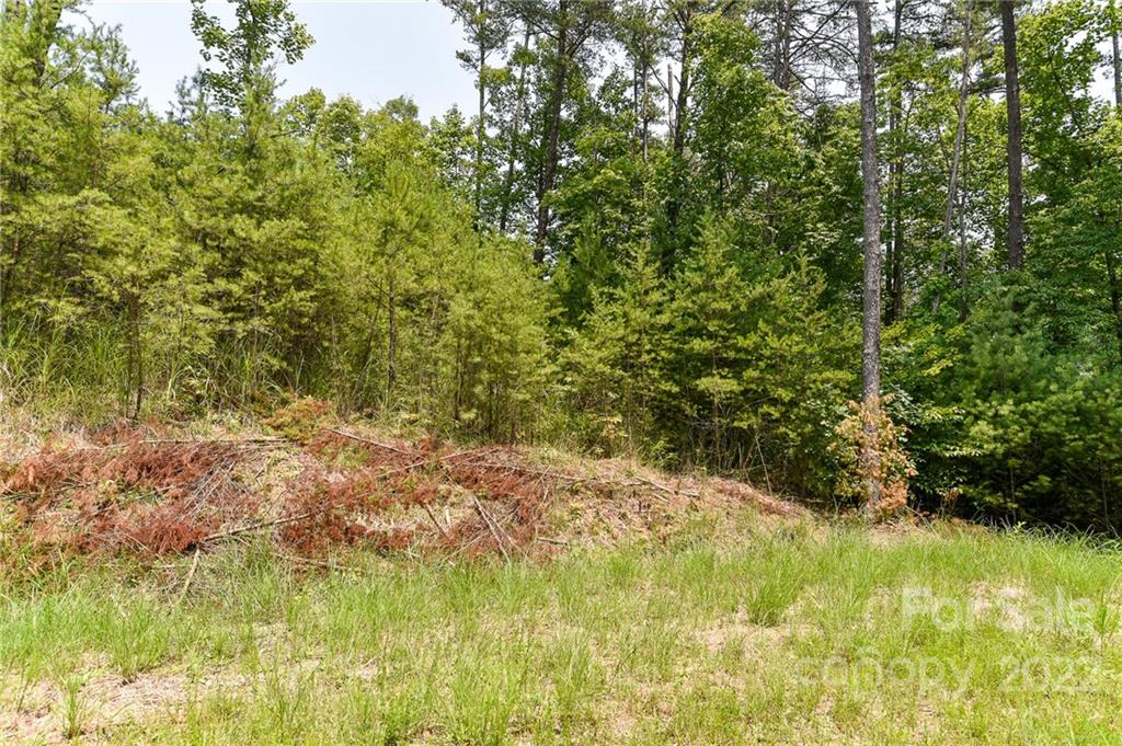 Lot at Lot 4 The Vines Boulevard, Marshall, photo 4 of 13