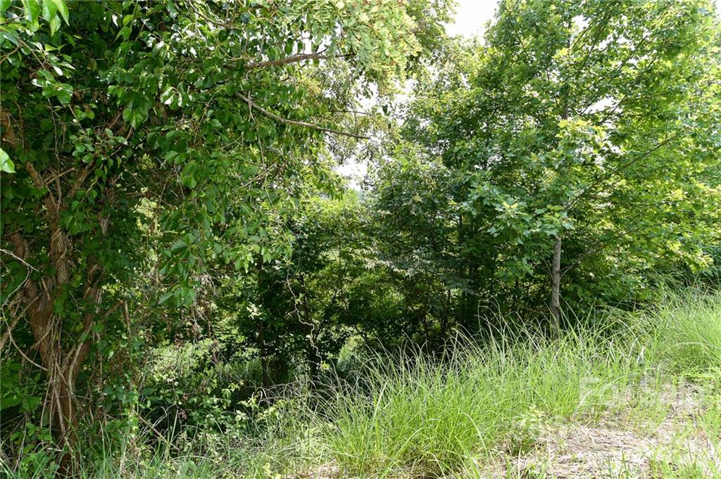 Lot at Lot 9 The Vines Boulevard, Marshall, photo 2 of 10