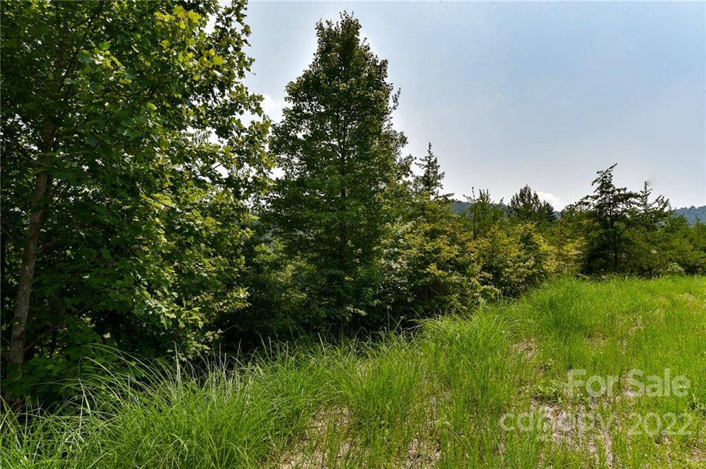 Lot at 113 Chardonnay Avenue, Marshall, photo 2 of 11