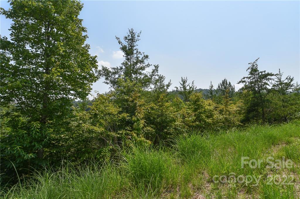 Lot at 113 Chardonnay Avenue, Marshall, photo 3 of 11