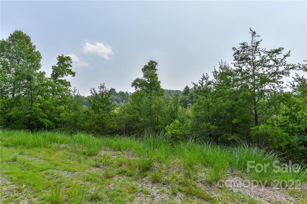 Lot at Lot 11 The Vines Boulevard, Marshall, photo 3 of 11