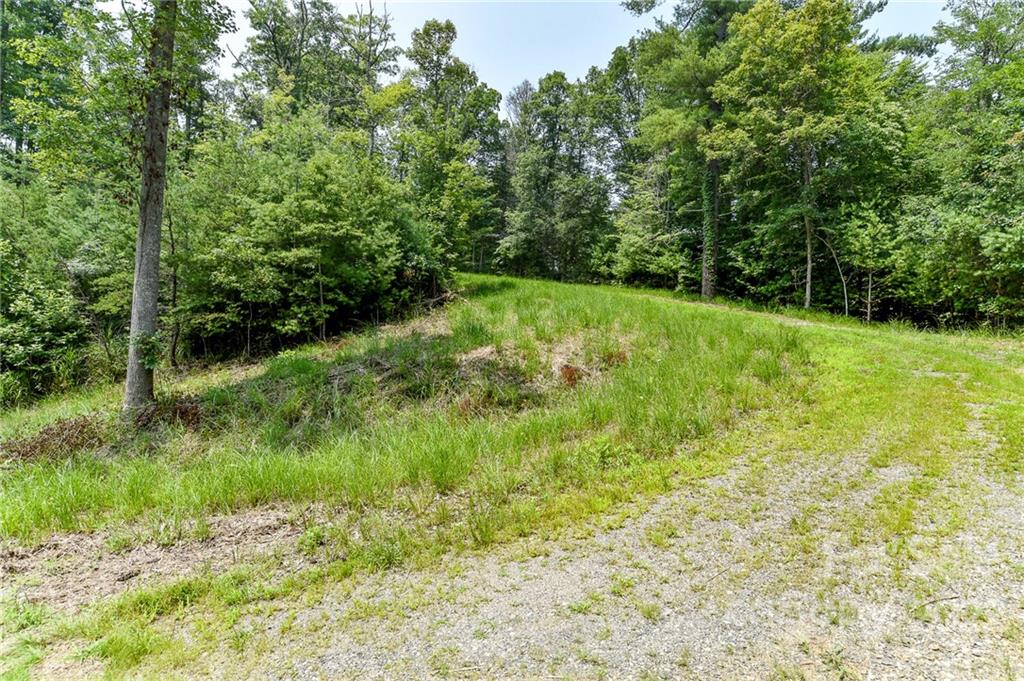 Lot at 301 The Vines Boulevard, Marshall, photo 2 of 11
