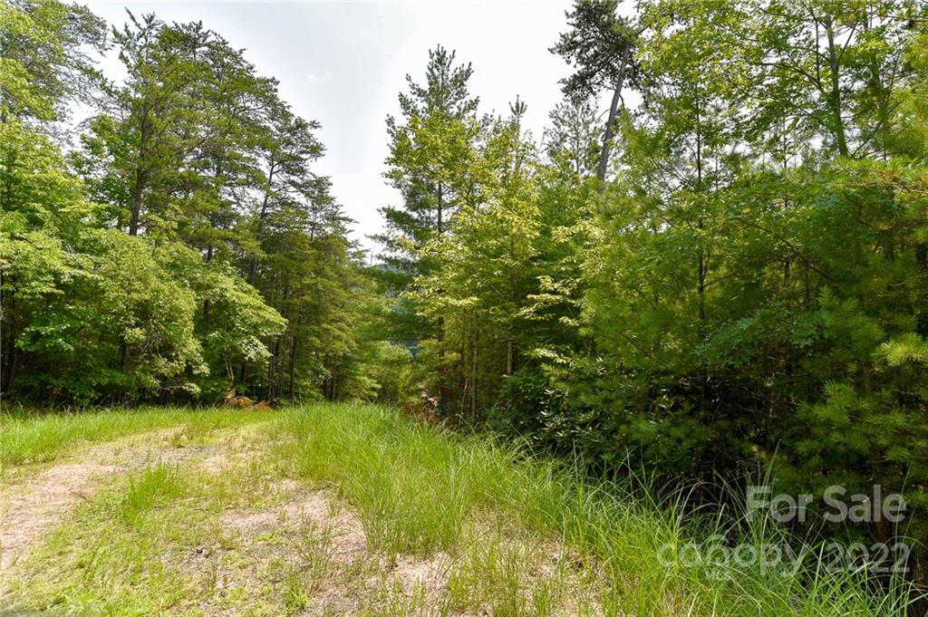 Lot 22 The Vines Boulevard