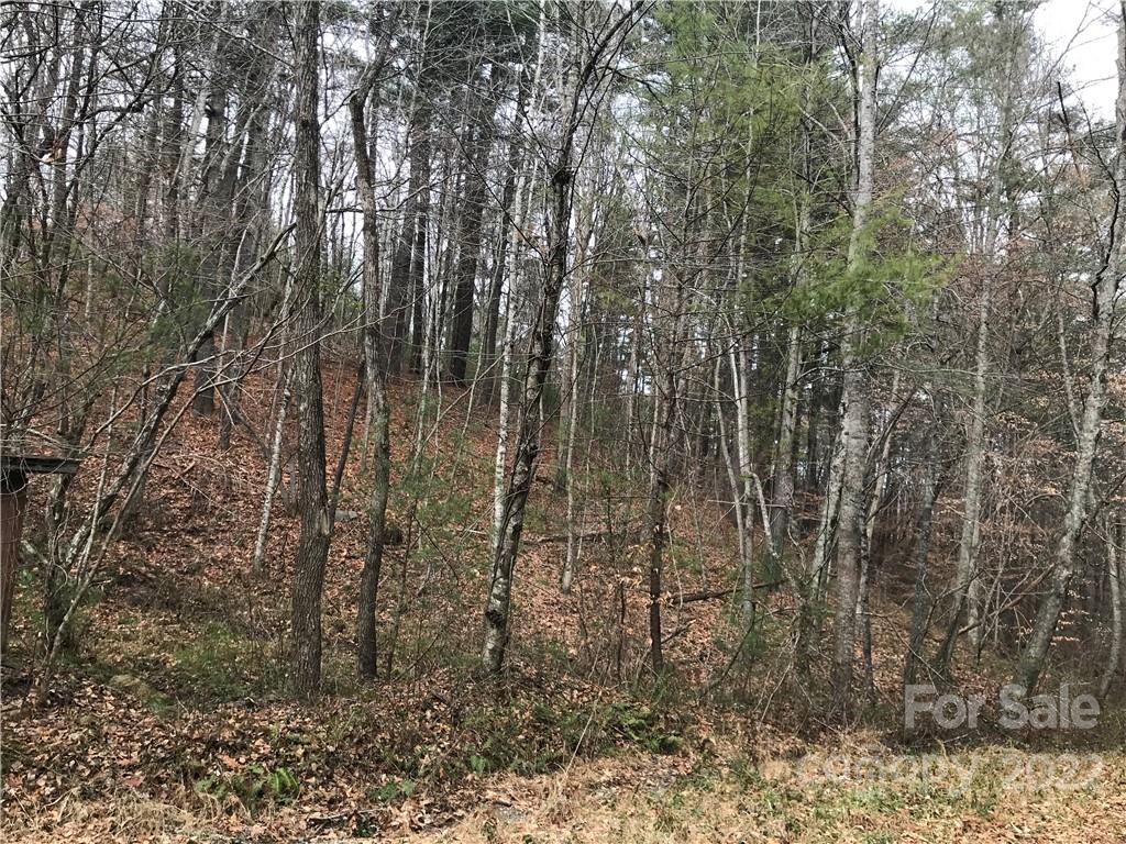 Acreage at 27 Eller Hollow Road, Weaverville, photo 2 of 5