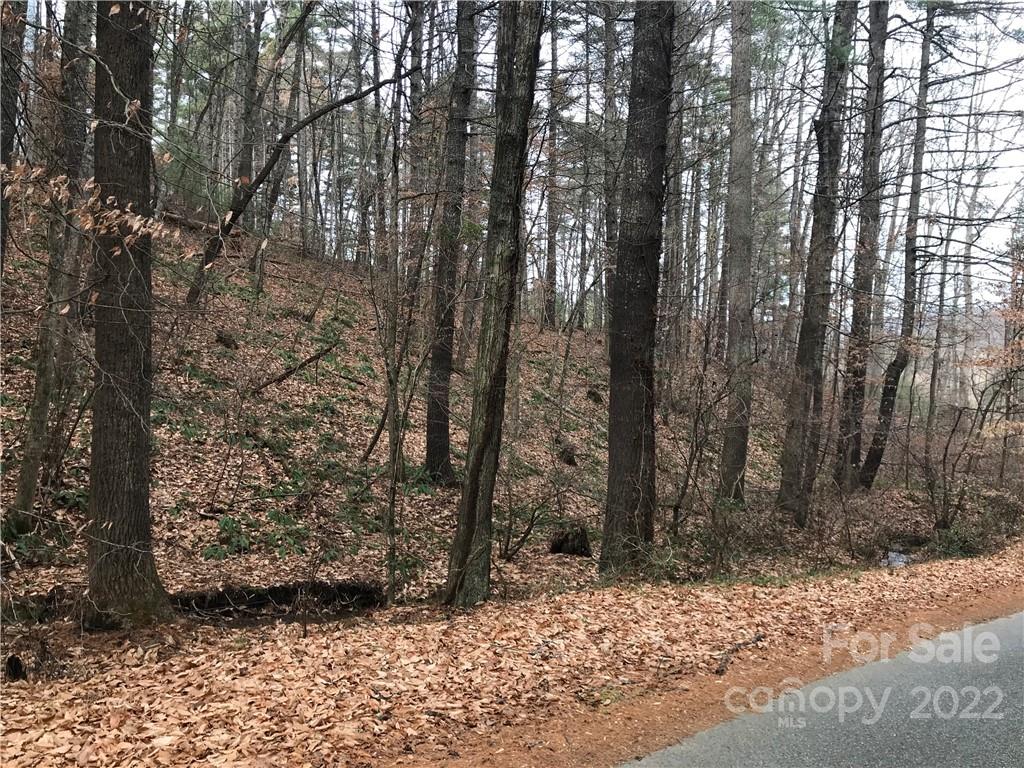 Acreage at 27 Eller Hollow Road, Weaverville, photo 3 of 5