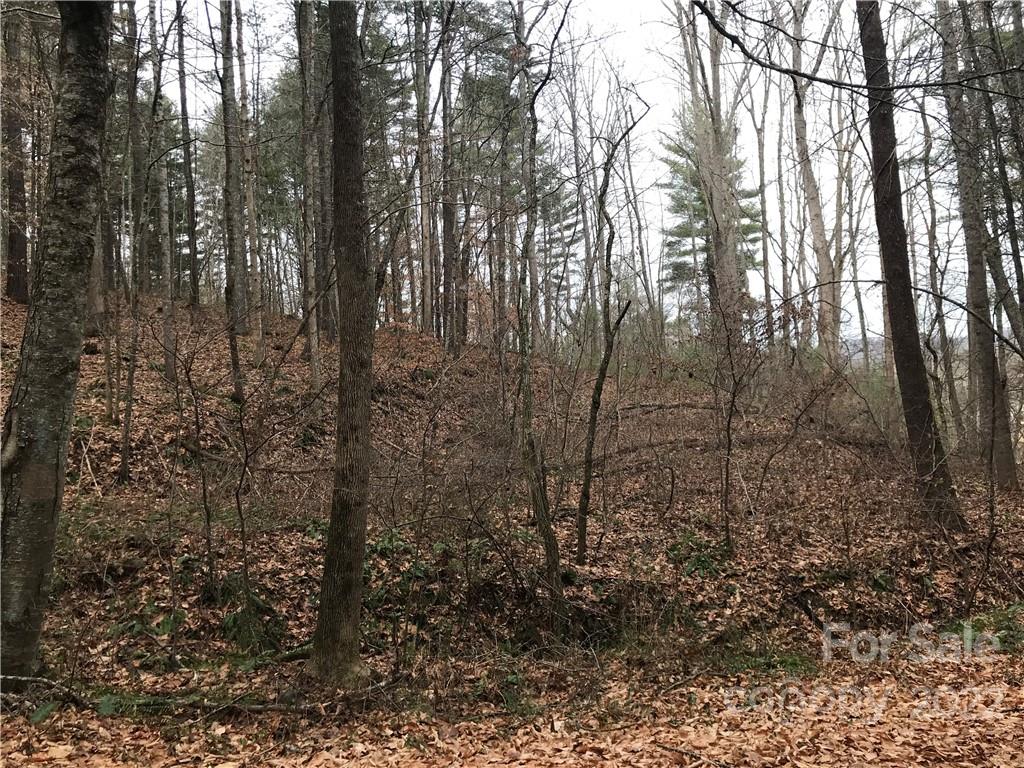 Acreage at 27 Eller Hollow Road, Weaverville, photo 4 of 5