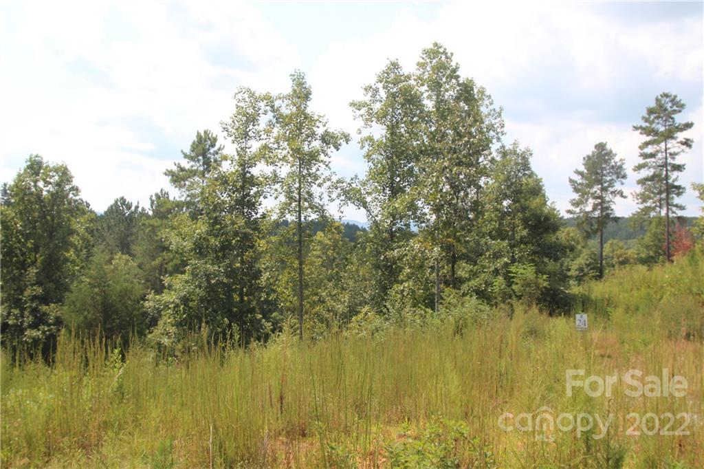 Lot at 2038 Inlet Shore Road NE, Connelly Springs, photo 8 of 14