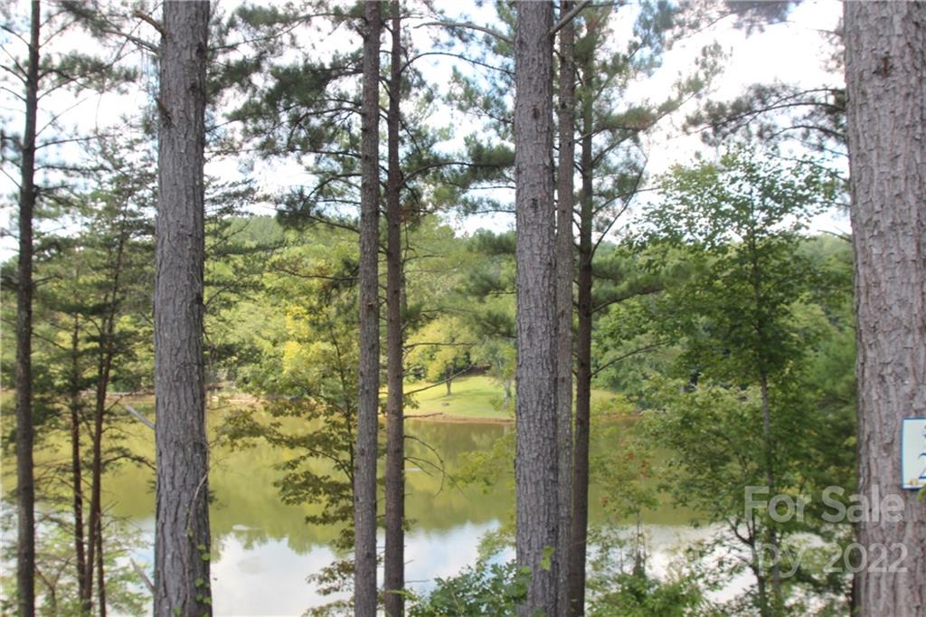 Lot at 2038 Inlet Shore Road NE, Connelly Springs, photo 9 of 14