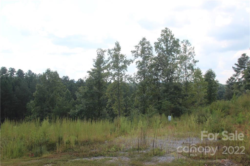 Lot at 2038 Inlet Shore Road NE, Connelly Springs, photo 13 of 14