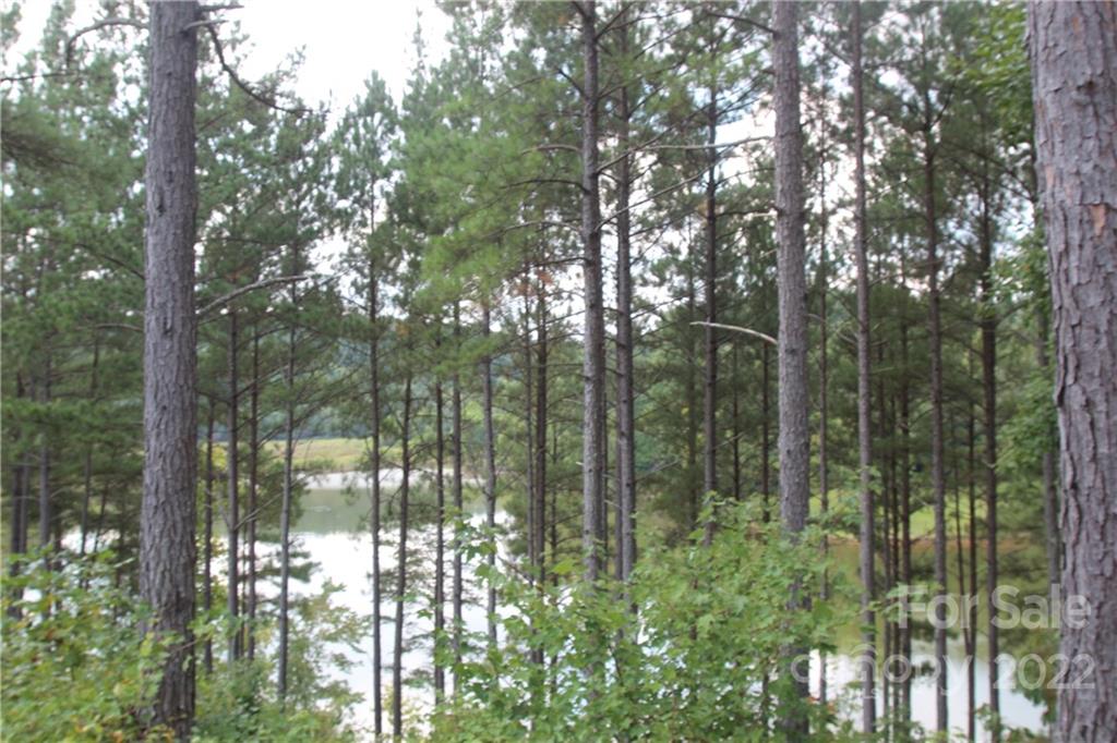 Lot at 2038 & 2048 Inlet Shore Road NE, Connelly Springs, photo 4 of 13