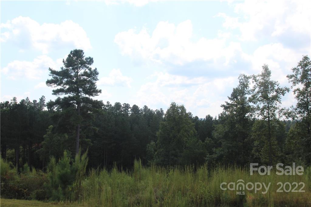 Lot at 2038 & 2048 Inlet Shore Road NE, Connelly Springs, photo 5 of 13