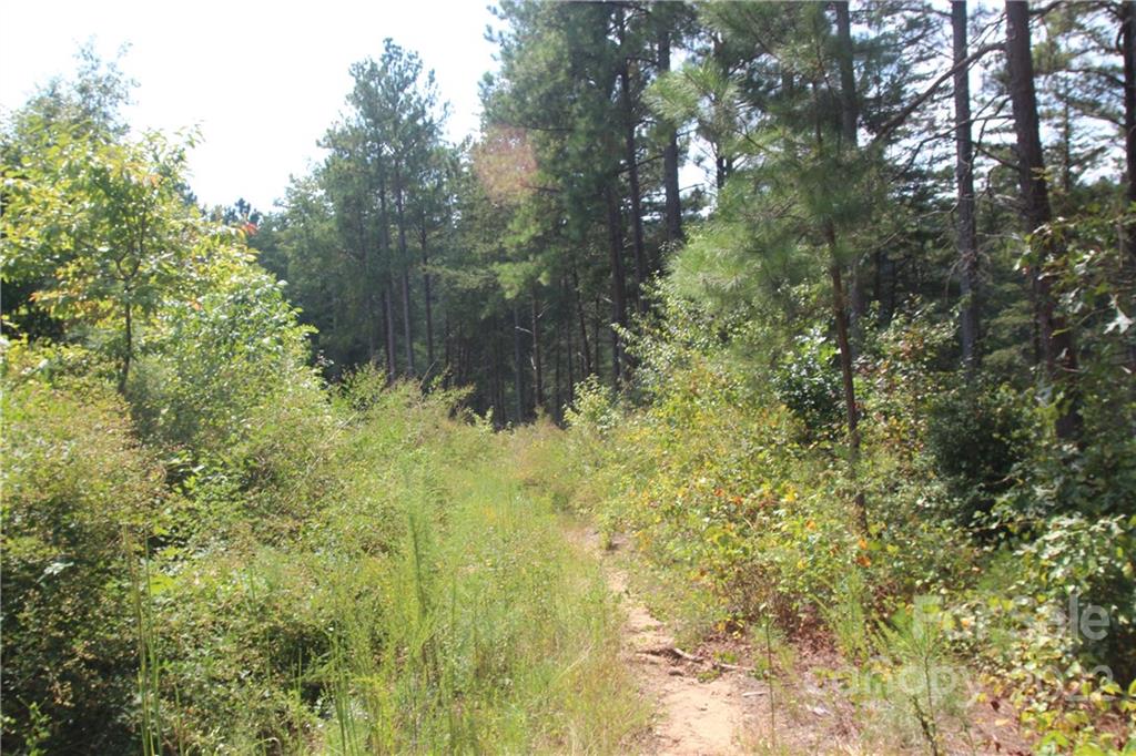 Lot at 2038 & 2048 Inlet Shore Road NE, Connelly Springs, photo 10 of 13