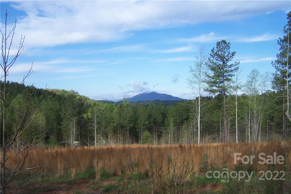Tract 3 County Line Road