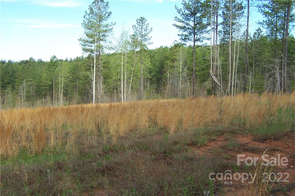 Acreage at Tract 3 County Line Road, Mill Spring, photo 2 of 7