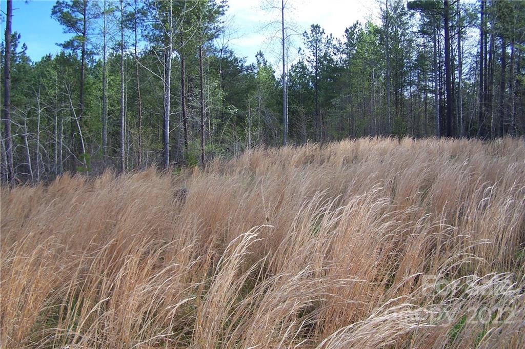 Acreage at Tract 3 County Line Road, Mill Spring, photo 3 of 7