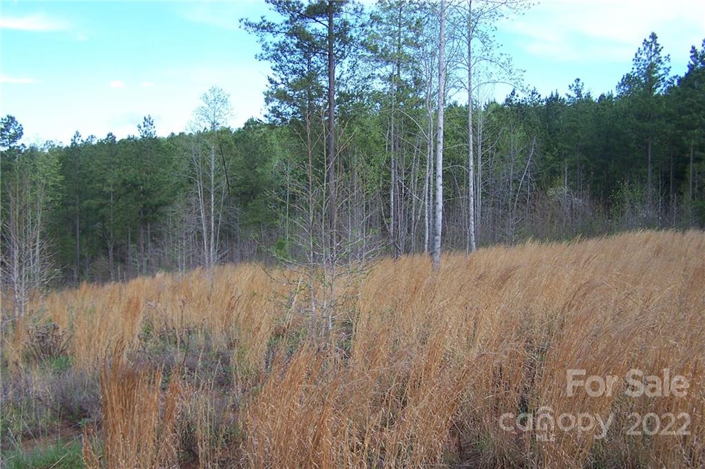 Acreage at Tract 3 County Line Road, Mill Spring, photo 4 of 7