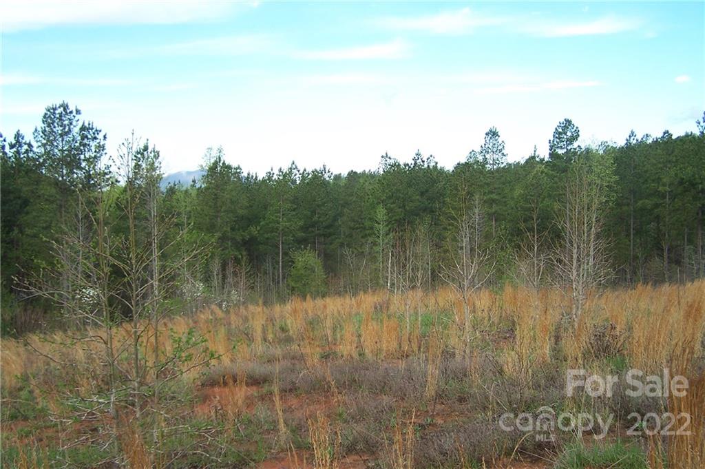 Acreage at Tract 3 County Line Road, Mill Spring, photo 5 of 7