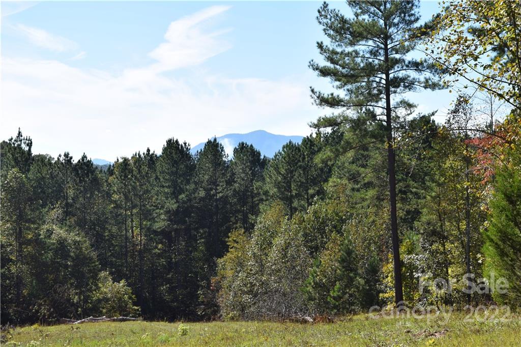 Acreage at Tract 3 County Line Road, Mill Spring, photo 6 of 7