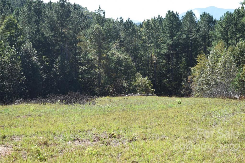 Acreage at Tract 3 County Line Road, Mill Spring, photo 7 of 7
