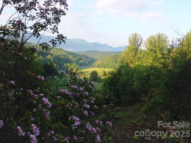 Lot at Lot 19 Sunkota Trail, Bryson City, photo 2 of 8